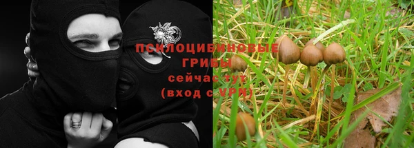 каннабис Алексин