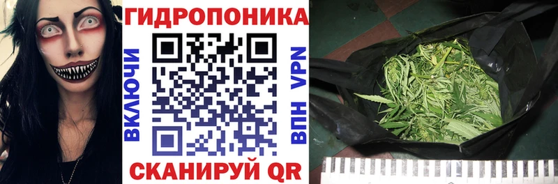 Канабис AK-47  наркотики  KRAKEN ТОР  Старая Русса 
